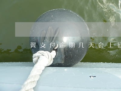 翼支付逾期几天会上征信