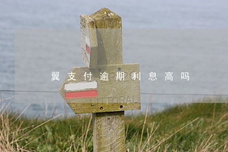 翼支付逾期利息高吗 翼支付逾期利息高吗
