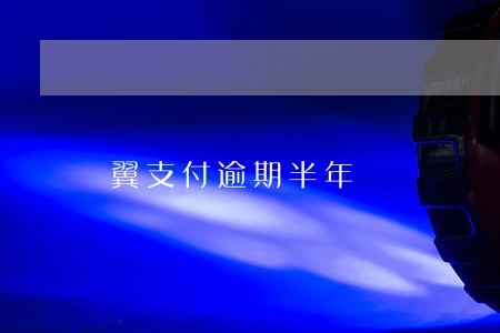 翼支付逾期半年 翼支付逾期半年