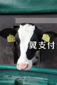 翼支付逾期名单 翼支付逾期名单