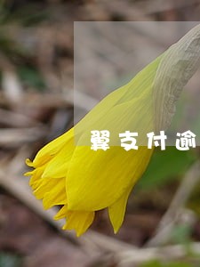 翼支付逾期后怎么办 翼支付逾期后怎么办