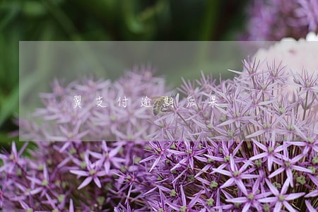 翼支付逾期后果 翼支付逾期后果