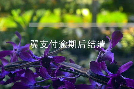 翼支付逾期后结清 翼支付逾期后结清