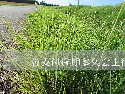 翼支付逾期多久会上征信 翼支付逾期多久会上征信