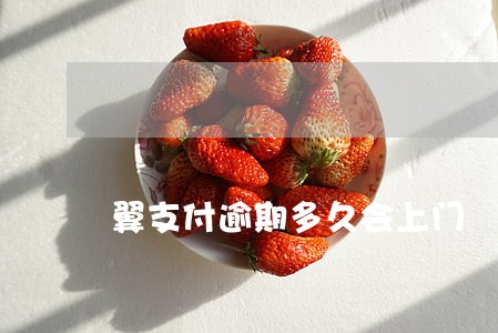 翼支付逾期多久会上门 翼支付逾期多久会上门