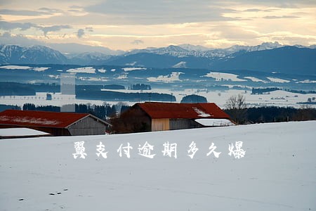 翼支付逾期多久爆 翼支付逾期多久爆