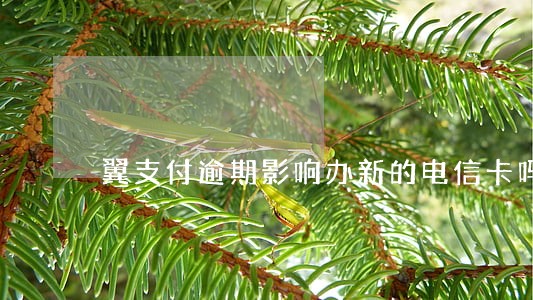 翼支付逾期影响办新的电信卡吗 翼支付逾期影响办新的电信卡吗