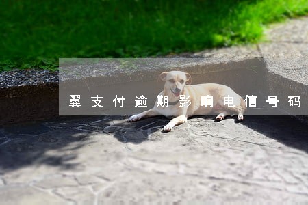 翼支付逾期影响电信号码使用吗 翼支付逾期影响电信号码使用吗