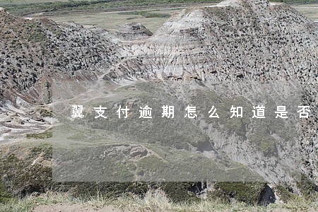 翼支付逾期怎么知道是否代偿