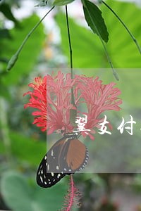 翼支付逾期报警