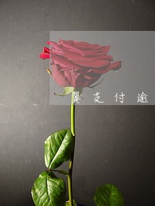 翼支付逾期联系居委会 翼支付逾期联系居委会