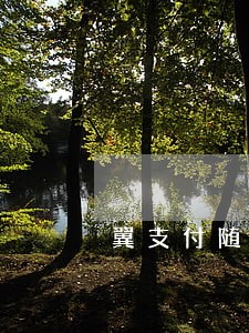 翼支付随意借逾期1个月 翼支付随意借逾期1个月