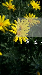 翼支付随意借逾期扣款 翼支付随意借逾期扣款
