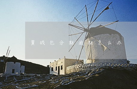 翼钱包分期逾期怎么办 翼钱包分期逾期怎么办