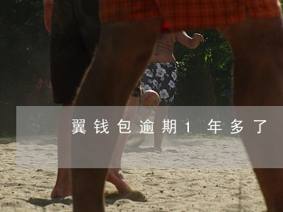 翼钱包逾期1年多了 翼钱包逾期1年多了