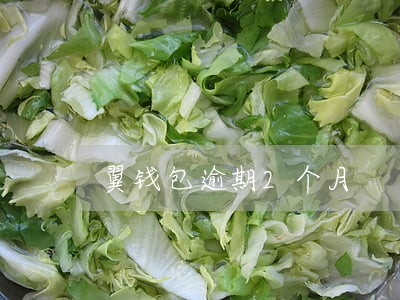 翼钱包逾期2个月 翼钱包逾期2个月