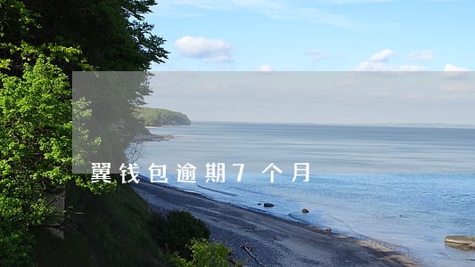 翼钱包逾期7个月 翼钱包逾期7个月