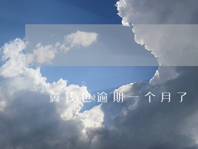 翼钱包逾期一个月了 翼钱包逾期一个月了