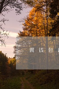 翼钱包逾期一千五会上门吗 翼钱包逾期一千五会上门吗
