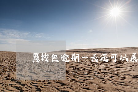 翼钱包逾期一天还可以展期吗 翼钱包逾期一天还可以展期吗