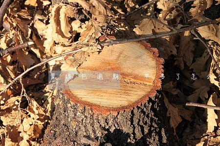 翼钱包逾期一年多了怎么办 翼钱包逾期一年多了怎么办