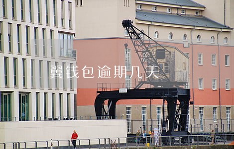 翼钱包逾期几天 翼钱包逾期几天