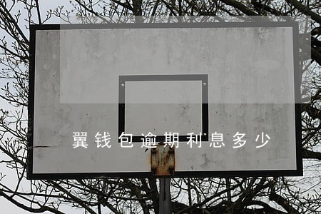 翼钱包逾期利息多少