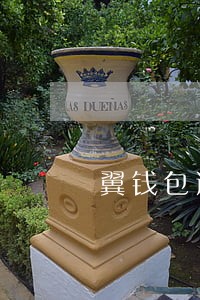 翼钱包逾期多久上征信 翼钱包逾期多久上征信