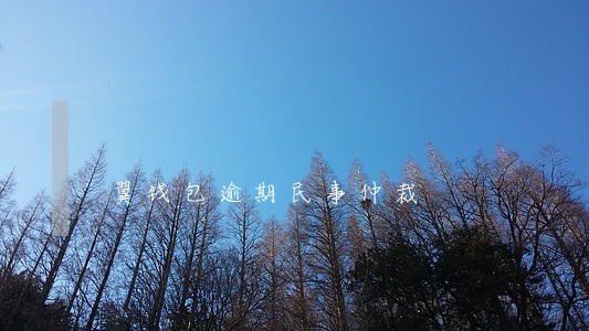 翼钱包逾期民事仲裁 翼钱包逾期民事仲裁