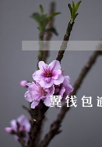 翼钱包逾期百度一下 翼钱包逾期百度一下