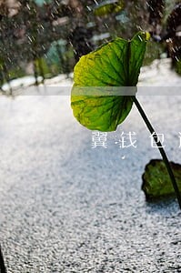 翼钱包逾期还款