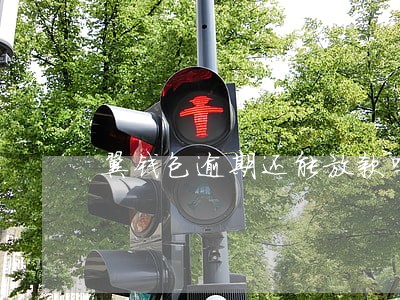 翼钱包逾期还能放款吗 翼钱包逾期还能放款吗