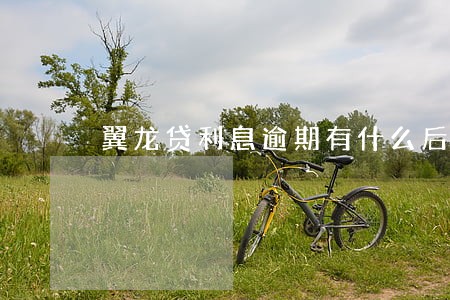 翼龙贷利息逾期有什么后果 翼龙贷利息逾期有什么后果