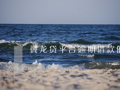 翼龙贷平台逾期借款催收系统 翼龙贷平台逾期借款催收系统
