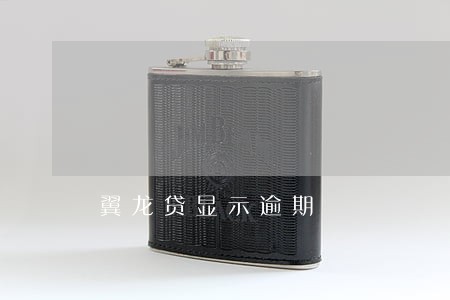 翼龙贷显示逾期 翼龙贷显示逾期