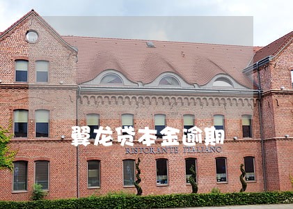 翼龙贷本金逾期 翼龙贷本金逾期