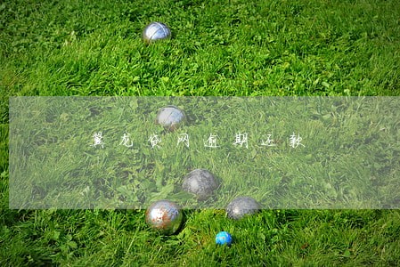 翼龙贷网逾期还款 翼龙贷网逾期还款