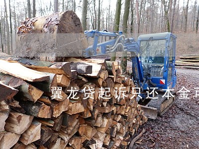 翼龙贷起诉只还本金可以不 翼龙贷起诉只还本金可以不