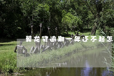 翼龙贷逾期一年还不起怎么办 翼龙贷逾期一年还不起怎么办
