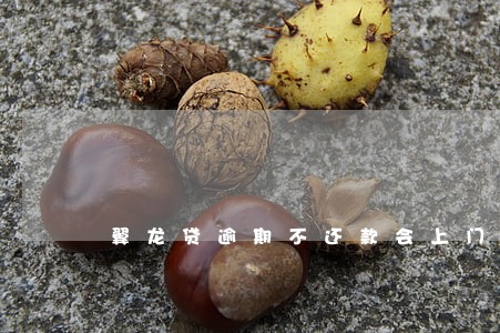 翼龙贷逾期不还款会上门吗 翼龙贷逾期不还款会上门吗