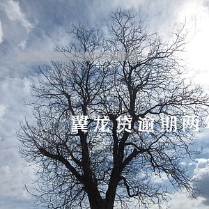 翼龙贷逾期两年 翼龙贷逾期两年