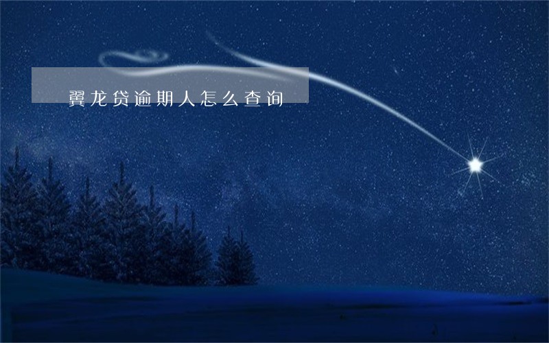 翼龙贷逾期人怎么查询 翼龙贷逾期人怎么查询