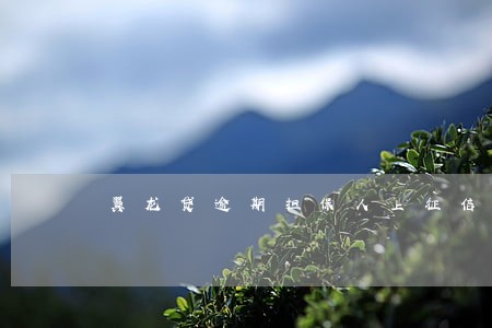 翼龙贷逾期担保人上征信吗 翼龙贷逾期担保人上征信吗