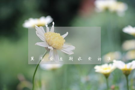 翼龙贷逾期收费标准