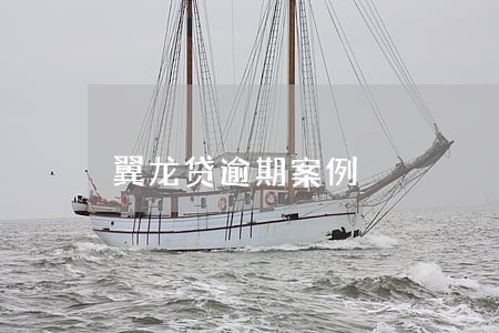 翼龙贷逾期案例 翼龙贷逾期案例