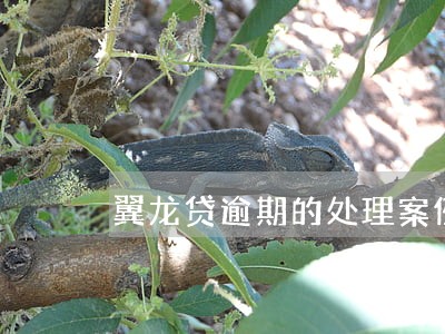 翼龙贷逾期的处理案例 翼龙贷逾期的处理案例