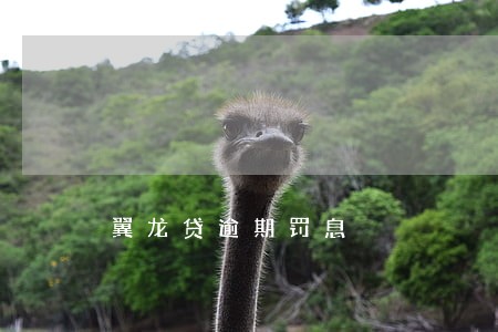 翼龙贷逾期罚息 翼龙贷逾期罚息