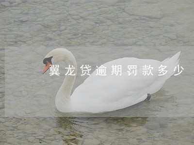 翼龙贷逾期罚款多少 翼龙贷逾期罚款多少