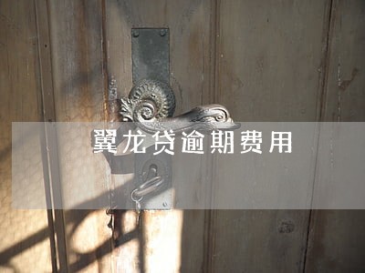 翼龙贷逾期费用 翼龙贷逾期费用