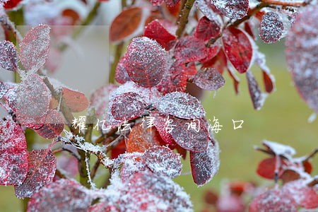 耀亿法律咨询海口 耀亿法律咨询海口